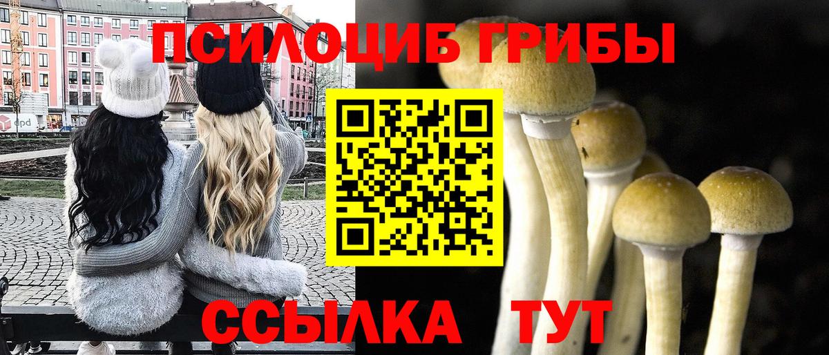 Минеральные Воды  Галлюциногенные грибы мухоморы  Галлюциногенные грибы мухоморы  Вход с VPN 